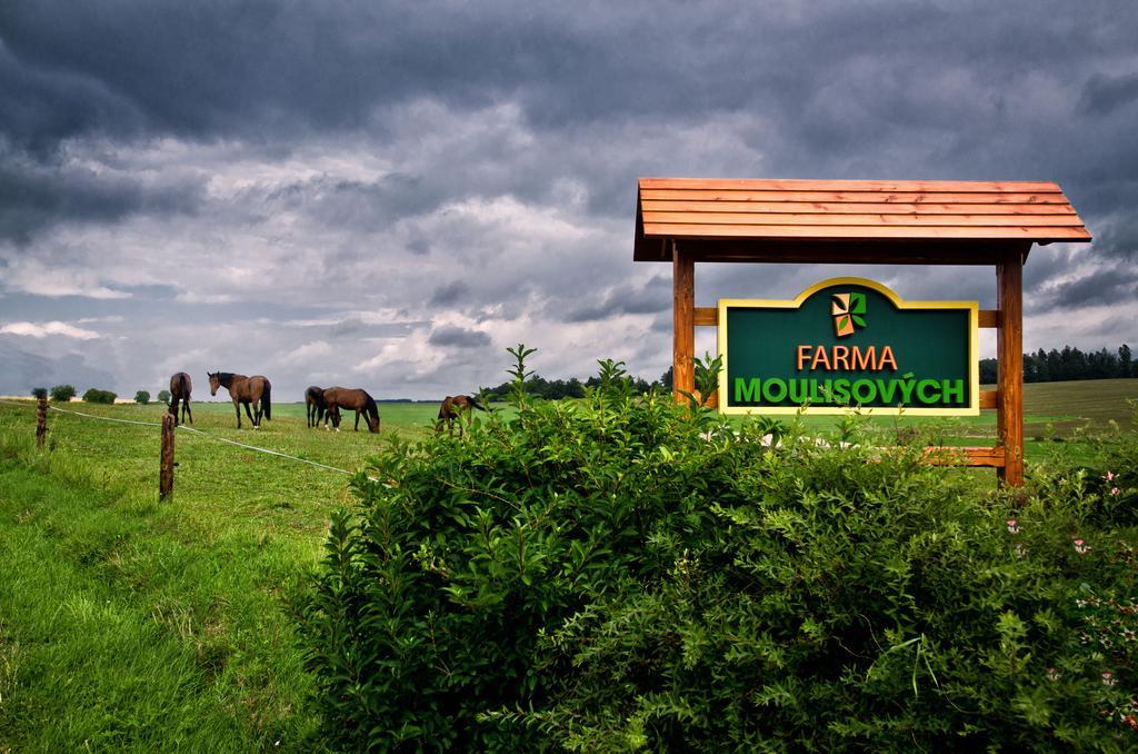 Ferienwohnung Farma Moulisovych Nezvestice Exterior foto